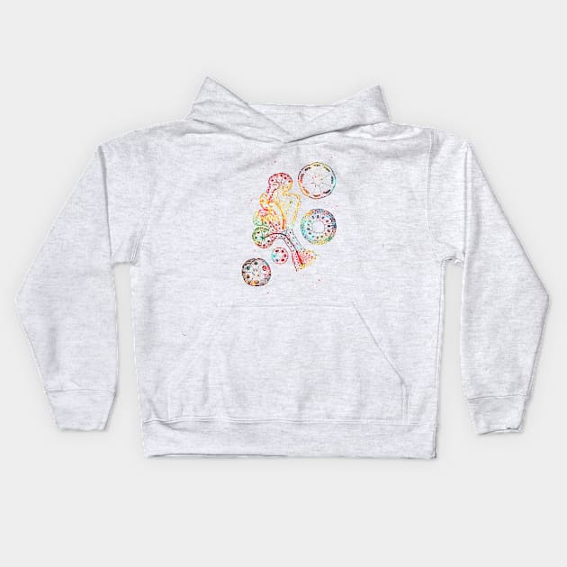 Endocrine gland Kids Hoodie by erzebeth